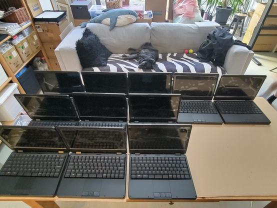 11 black mnt reform next laptops on a table in front of me (pov). tina the little black dog is chilling on the sofa in the distance