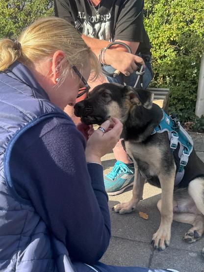 Frau Müller MeierSchulze und der junge Schäferhund-Mix sitzen und am Boden gegenüber und haben die Köpfe zusammengesteckt.