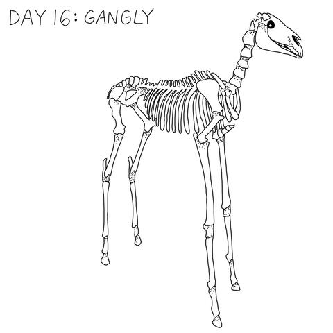Thin black line drawing on white of a horse skeleton, but I've made the legs about twice as long as real horse legs. I added some stippling for shadows